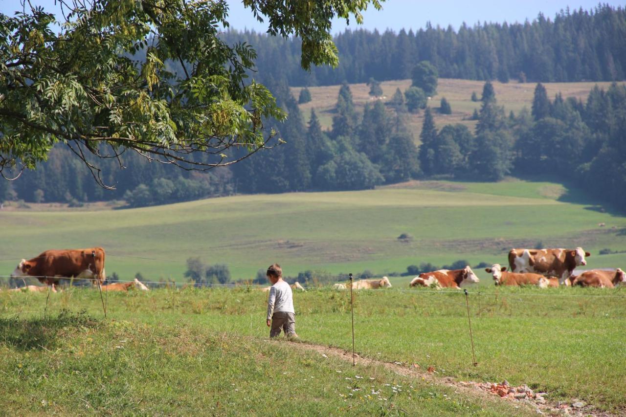 Naturpark Bauernhof Sperl Мариахоф Экстерьер фото